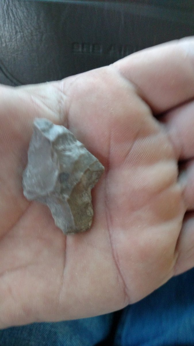 Found this one today after work