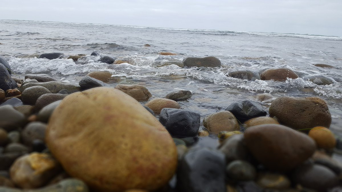 MethLabbs's tweet image. 