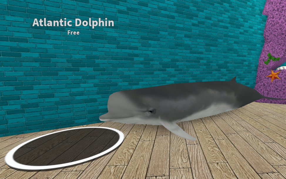 Ricky On Twitter A Whale Of An Update Coming To Fish Simulator Robloxdev Roblox - ricky on twitter playing the fish simulator on roblox use