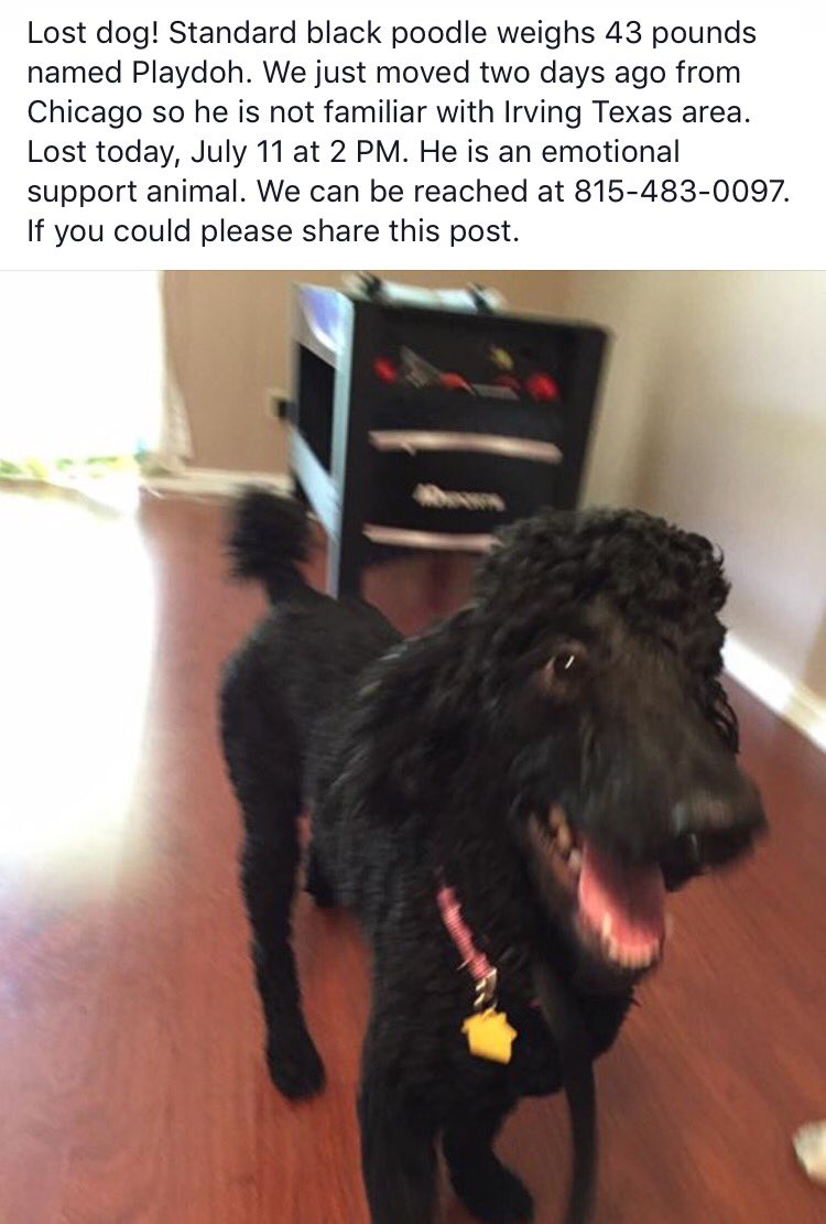 Help Dogs In Need tweet media