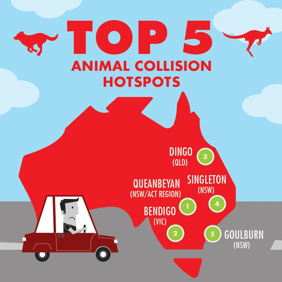 AAMI's tweet image. We reveal the top 5 #AnimalCollision hotspots in Aus. Click to see your state’s top areas: bit.ly/29tPMC2