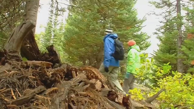 fox12oregon's tweet photo. Portland startup @LandApart connects private landowners with people who want to get outdoors https://t.co/Q0gXRTrg0U https://t.co/pFx4SBEU2p