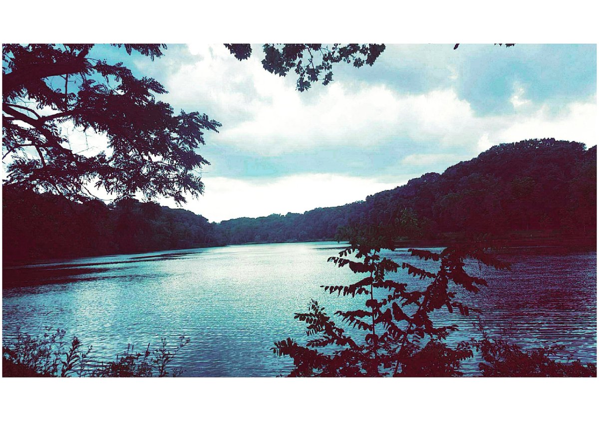 sarachantall's tweet photo. I need to go on a two week hiatus... 😧🌳🌹🌺🌸🍃
#takemeaway #makemeabird #gayy https://t.co/xoeLRwNTW0