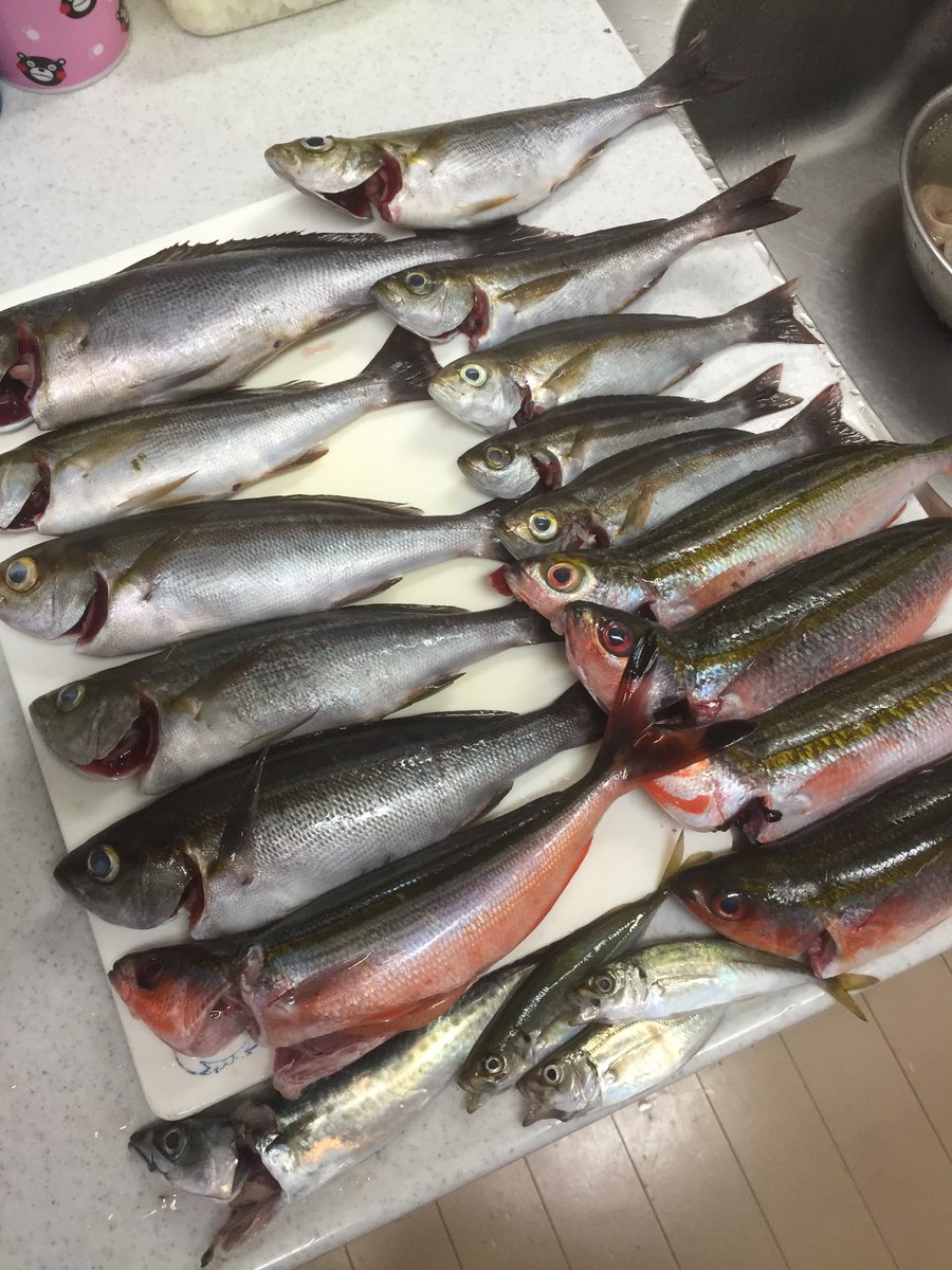 釣りパパ 釣れないカゴ師 Pa Twitter 初島遠征で夜釣りしてきました 釣果 イサキ10 グルクン5 ジンタ3 小サバ1 周りのオジサマたちはもっと釣ってたけどカゴの飛距離が足りず無念 釣果 カゴ釣り 釣りパパ 釣れないカゴ師 Pa Twitter 初島遠征で夜釣りしてきました 釣果 イサキ10 グルクン5 ジンタ3 小サバ1 周りのオジサマたちはもっと釣ってたけどカゴの飛距離が足りず無念 釣果 カゴ釣り