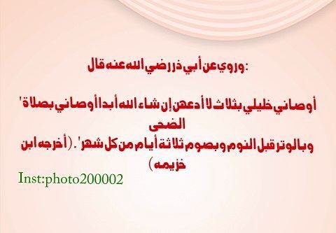 ابومحمد (@mfrhmhmd) on Twitter photo 