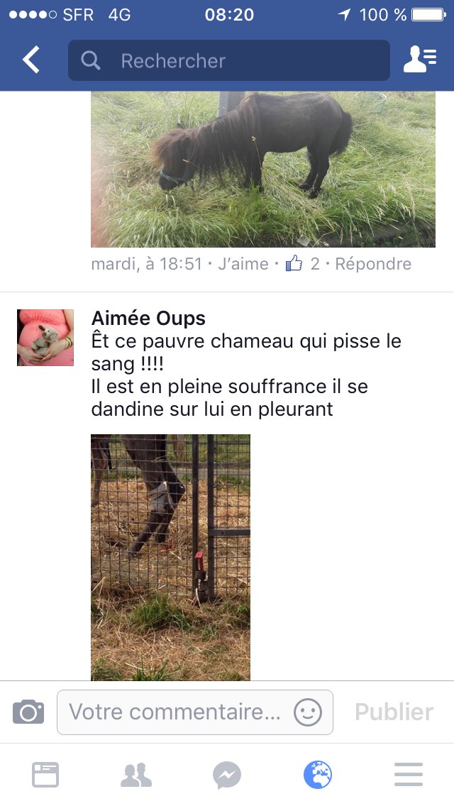 madame_lennon's tweet image. À quand vous allez vous bouger  #plaisir #spa @InfoYvelines pour ce cirque scandaleux #zavata