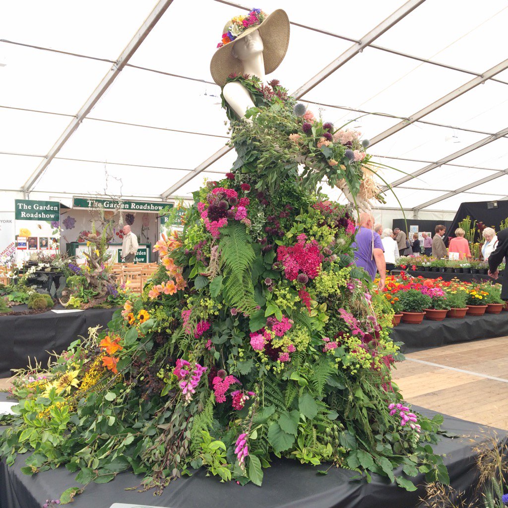Flowers_ft_Farm's tweet photo. Well it's SILVER GILT for us at @greatyorkshow but I wish it had been gold. https://t.co/USOFX6WFTb