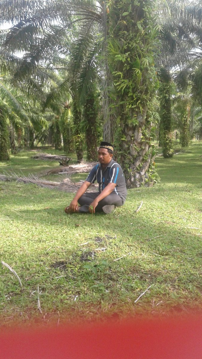azwar007's tweet photo. Pesisir barat lampung...merasakan sinyal alam...@faridkoja https://t.co/q1JkS8lJbU