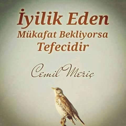 yookarkadas's tweet photo. İyilik eden mükafat bekliyorsa 'TEFECİDİR' https://t.co/wCiXT9N194