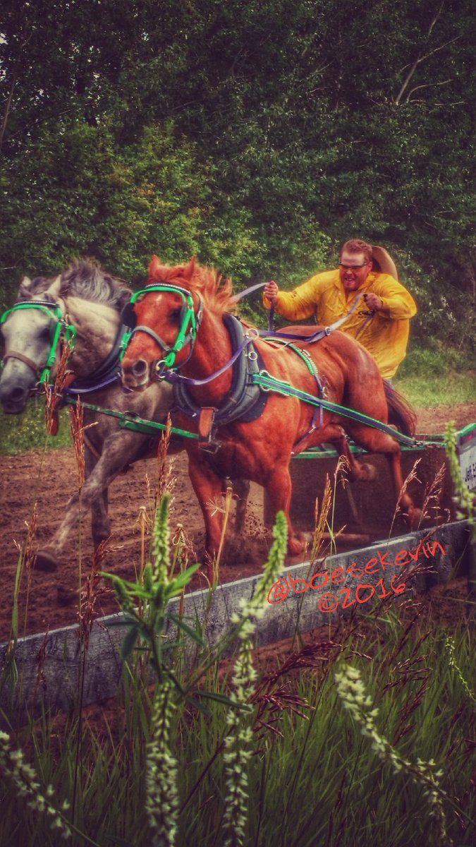 BoeseKevin's tweet photo. #chariotracing #gilbertplains #horselove   these horses are loving it @westernproducer @CBCManitoba @TravelManitoba https://t.co/MOe53jnlIc