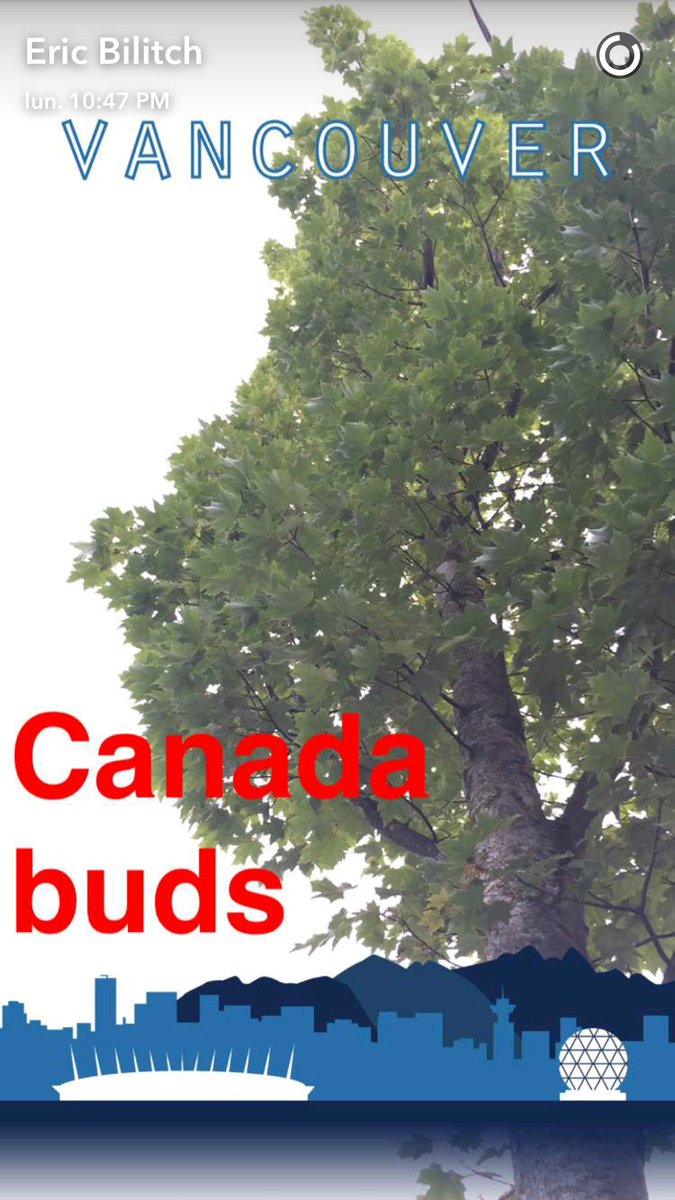 OUATCastSnaps's tweet image. [NEW] @EricBilitch 's snapchat story.