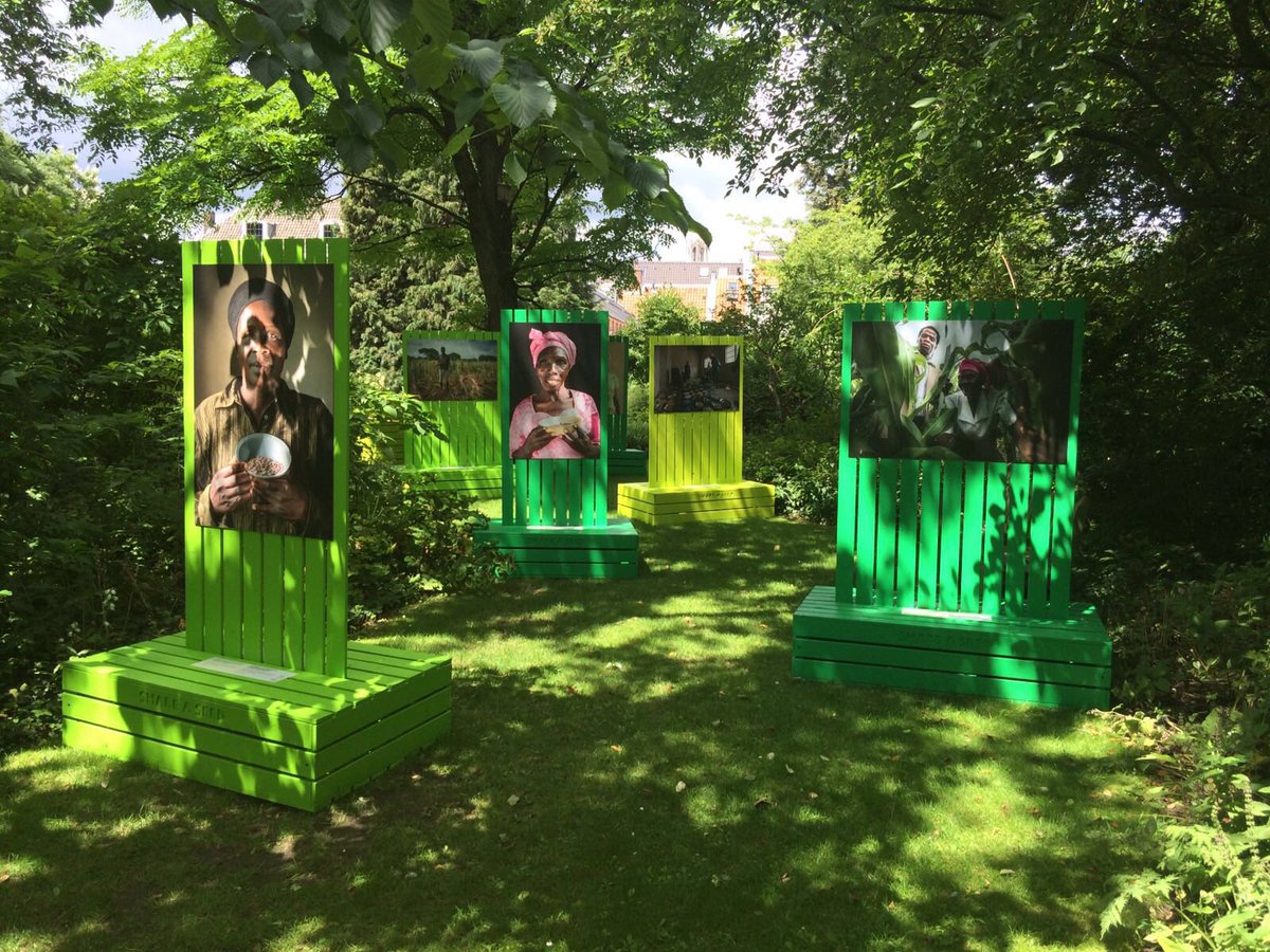 Ruigwerk's tweet photo. Ons werk staat er weer mooi bij in de hortus van Utrecht. https://t.co/DPtPj6dPYd https://t.co/QdZxKIKFp3
