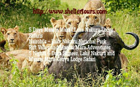 ptalkforums's tweet photo. #Visit #LakeNakuru #MasaiMara #Samburu #holiday #Safari https://t.co/p9FdOT3Rie #sheltertours https://t.co/Qy2rfhi1nT