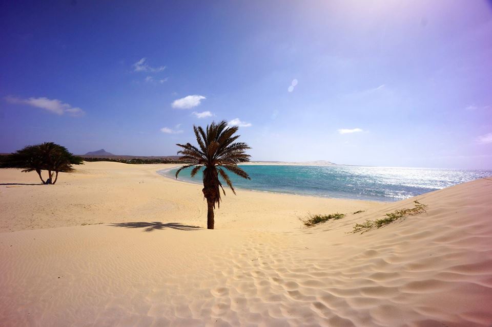 cv_tour's tweet photo. Good morning from #Boavista💛
Take me there!👌

#CaboVerde #tourcv

@ guyflorack https://t.co/myU1Mm5ROp