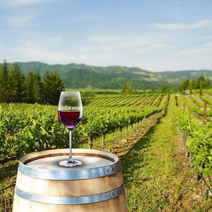 RafflesHotelSIN's tweet photo. Celebrate France's National Day at BBR with a blind tasting of 4 French wines with Wine Director Stéphanie Rigourd. https://t.co/V9BLcAXRvh