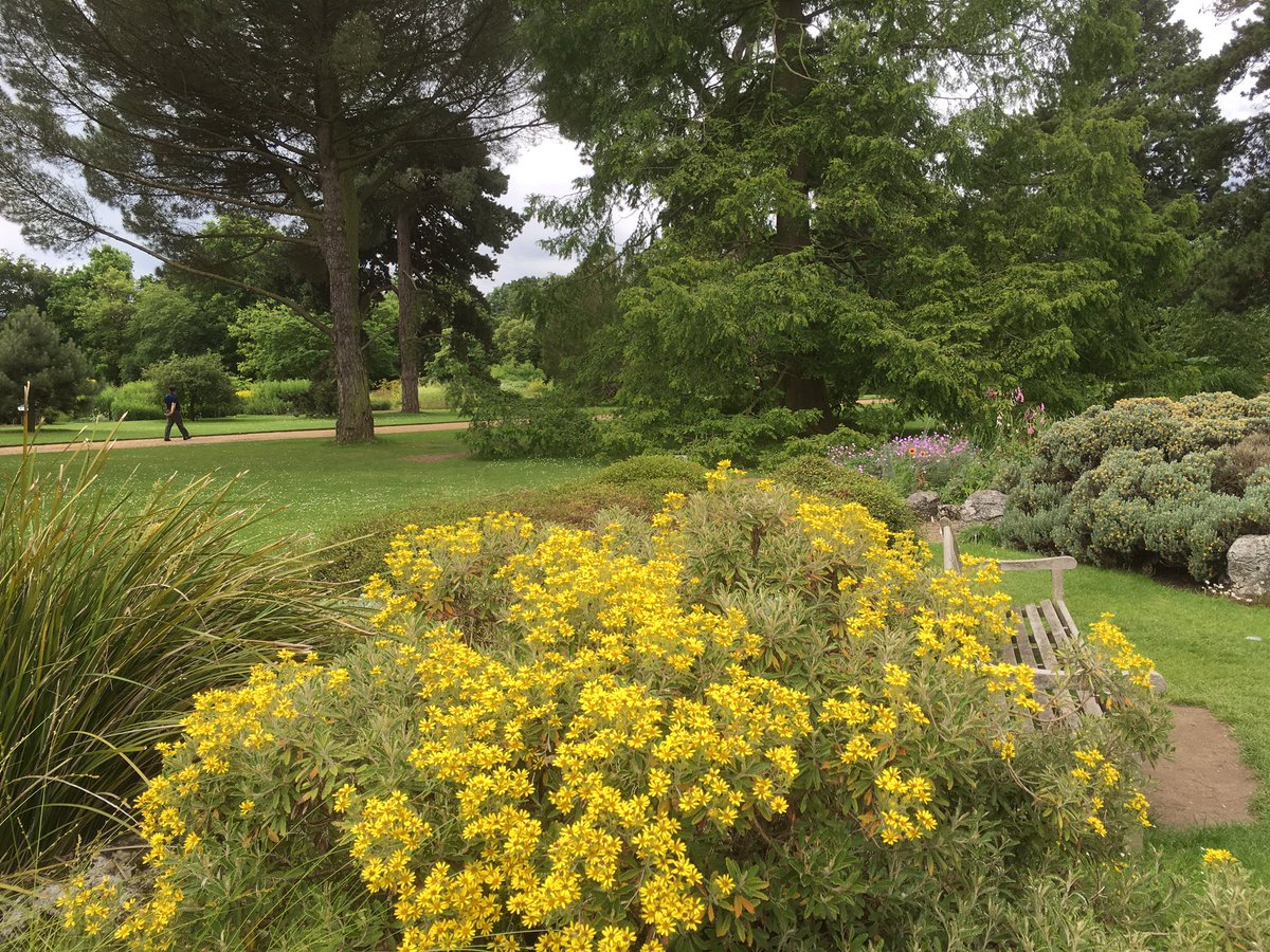 Ian Richard Pinches tweet media