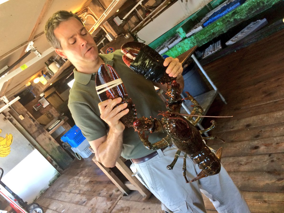 Sanders Lobster Co. (SandersLobster) Twitter