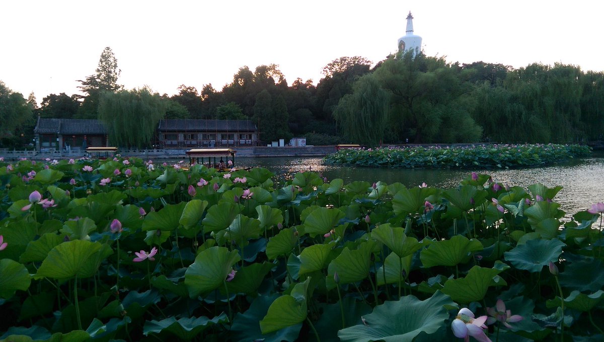MattXShi's tweet photo. Beijing. https://t.co/DiUBbJ6dXX