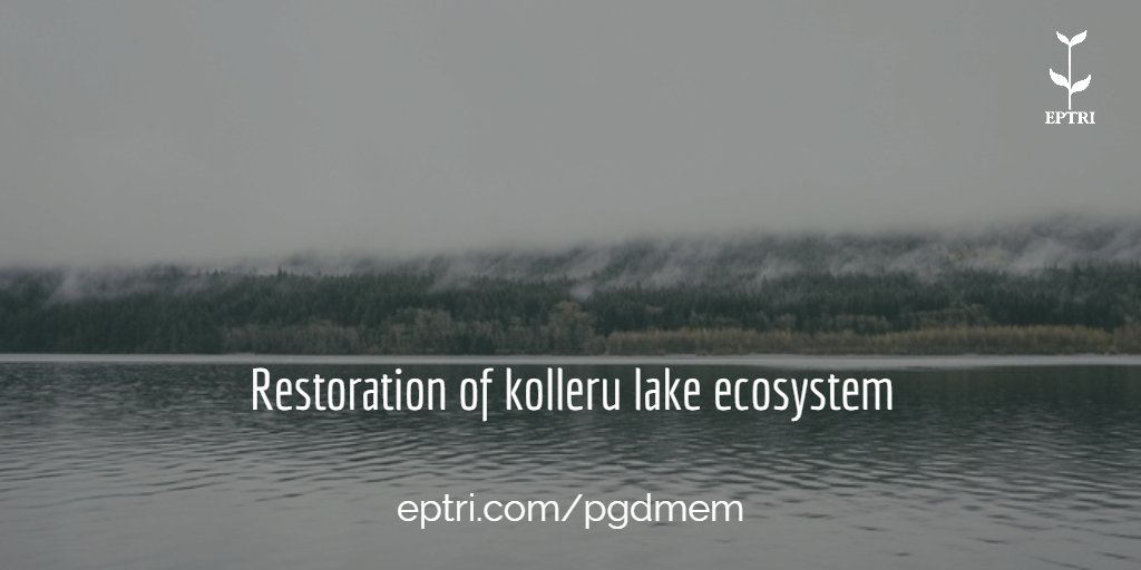EPTRI_EM's tweet photo. Restoration of kolleru lake ecosystem https://t.co/2PmAMHu0k4 https://t.co/rY5ghsMGTr