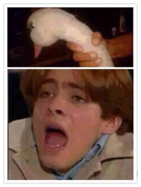 CeZarlml's tweet photo. #FelizLunes  :v #HailGrasa https://t.co/Tuh5xuAQVF