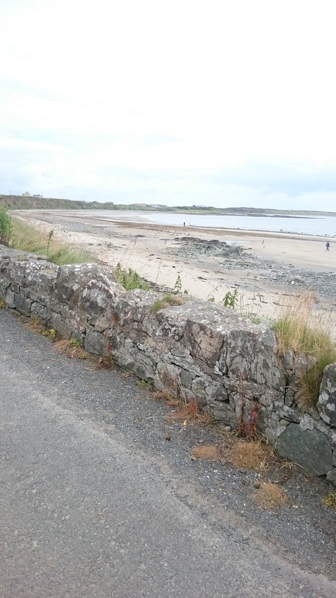 77PaulOShea's tweet photo. Ardglass to Ballyhornan via coast and back home #12thJuly #marching #weedander #lecaleway #ulsterway https://t.co/GaH0Nc7xiC
