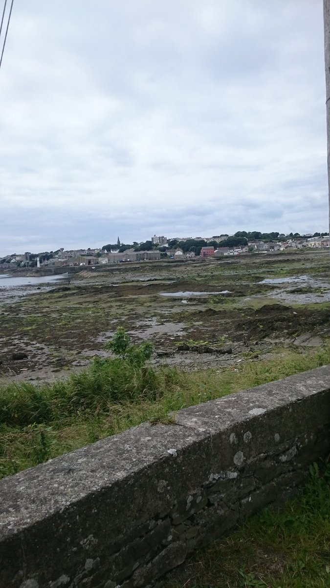 77PaulOShea's tweet photo. Ardglass to Ballyhornan via coast and back home #12thJuly #marching #weedander #lecaleway #ulsterway https://t.co/GaH0Nc7xiC