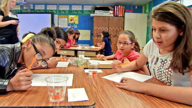 edutopia's tweet photo. These ungraded, student interest-driven enrichment courses make learning engaging (&amp; fun!): https://t.co/DXZziahfSA. https://t.co/UH4I5rfRqy