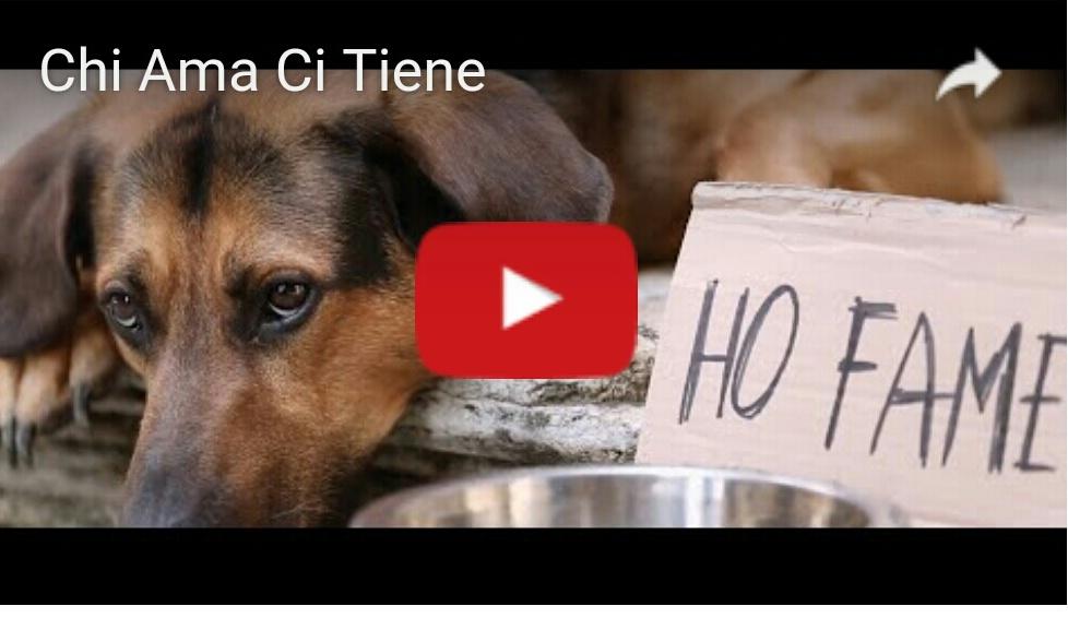 ✔CONDIVIDI CONTRO L'ABBANDONO✔
Diffondi il bene per abbandonare chi fa del male
VIDEO▶blog.zampavacanza.it/chi-ama-ci-tie…
