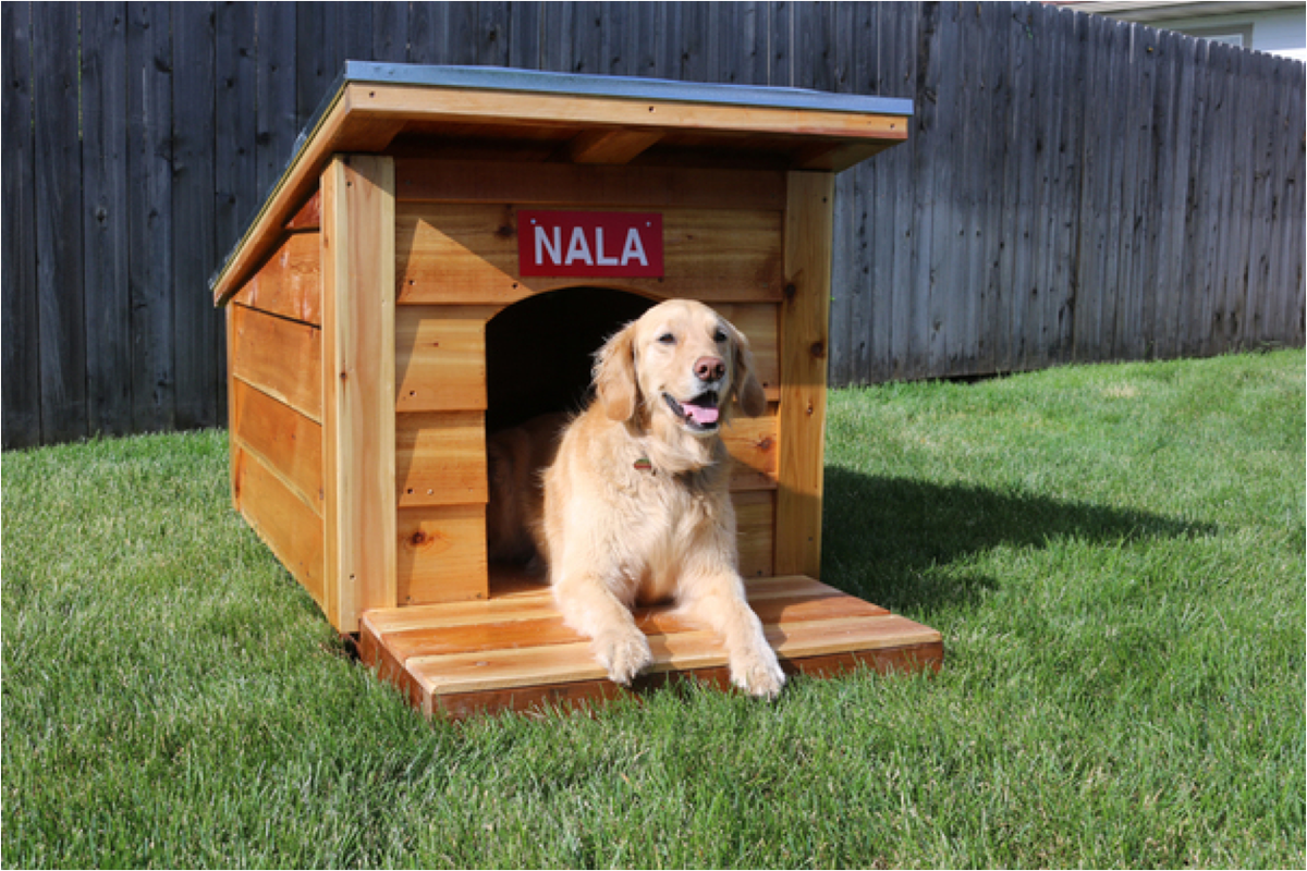 RYOBItoolsusa's tweet photo. Nice digs! Check out the plans for this #DIY Doghouse by @DIY_PETE https://t.co/7ONbVy34yI #RYOBIPetsRock https://t.co/kZZtg4IZ57