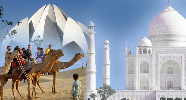 starlingholiday's tweet photo. Get best holiday deals on #golden_triangle_tour_packages at Starlingholidays.
https://t.co/LxXS3Sguei https://t.co/r1vemefUiV