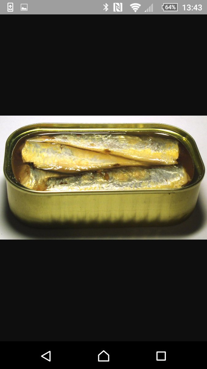 PorkysRecipes's tweet photo. Time for some fresh fish straight out of gosport @TheTwoMikes https://t.co/GwubDxRban