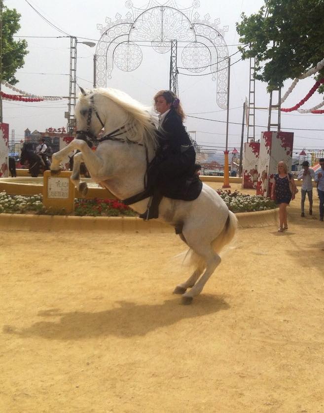 La tradición ecuestre también tiene su lugar en nuestra feria del Corpus. #Caballos #Granada