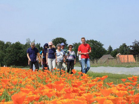 Open dag De Bolster: 16 juli  <a href="/debolster/">De Bolster biologische zaden</a>
biojournaal.nl/artikel/23102/…