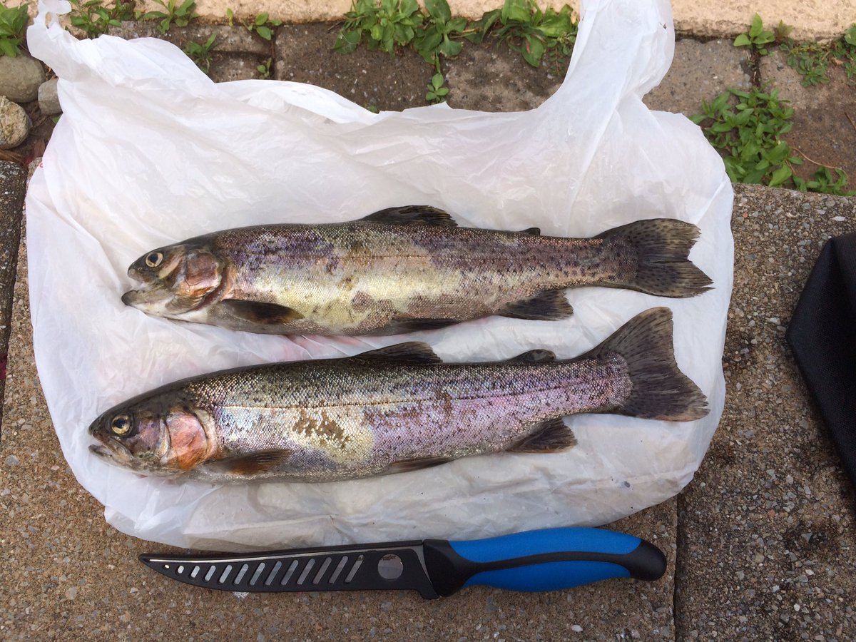 RyGar76's tweet photo. Sunday fishing with Shapes #craftbeer #fishing #frenchcreek #sohtc https://t.co/y9dPehJDio