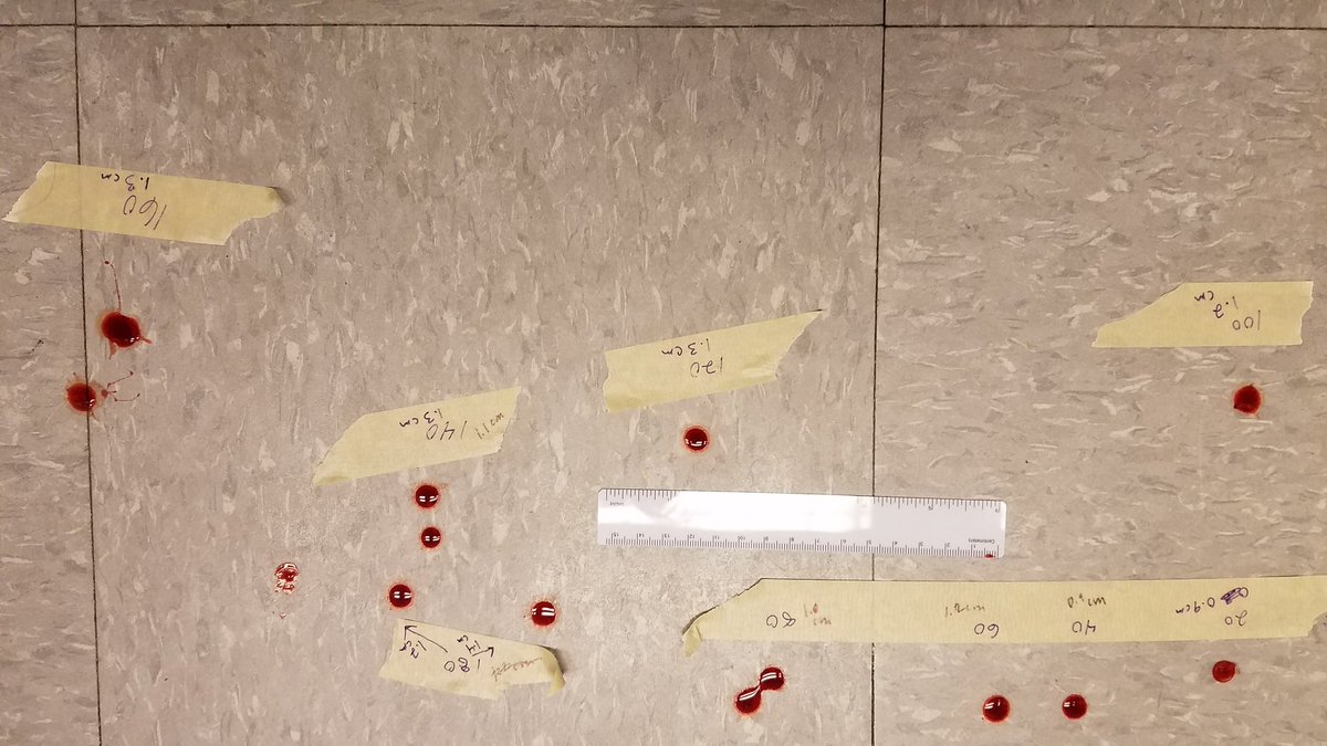 dorman_napls's tweet photo. Blood spatter, DNA, dead bodies, Oh My!!! PLTW training day 1. #NAHScommUNITY https://t.co/fDUu1nnd9N