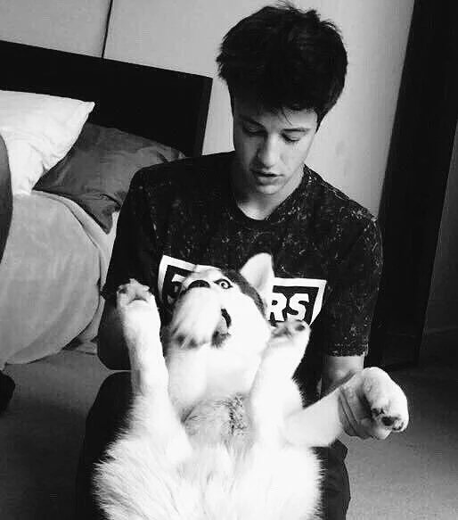 Puppies are my favorite