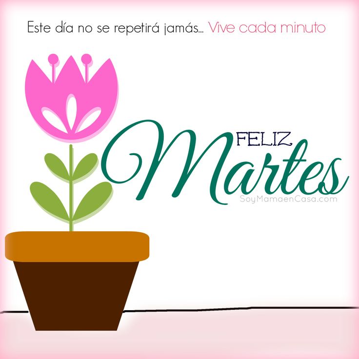 Kreisel on Twitter: "#FelizMartes Que tengan excelente día =)… "