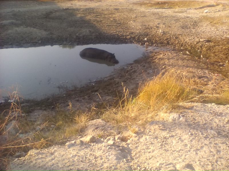 RreMarshell's tweet image. 