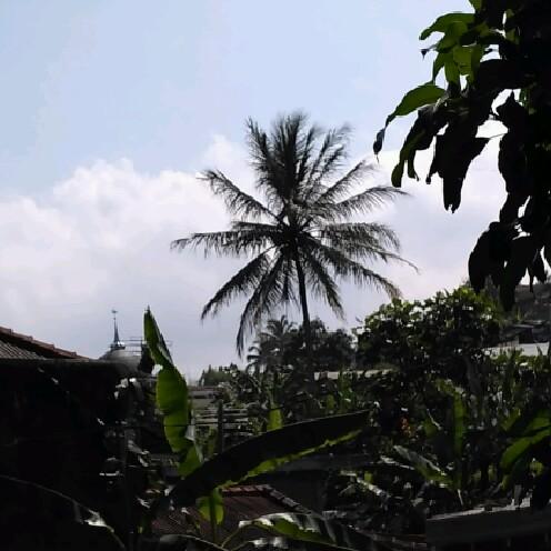 I am streaming on #BIGOLIVE. Join now! live.bigo.tv/2108335008_374…