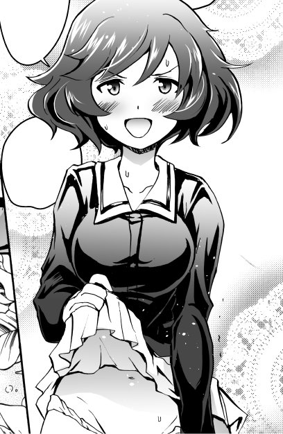 【C90】夏コミ新刊1冊目ガルパンの「せったい」本が完成&入稿しましたー!近日中に委託書店の予約が開始されると思いますのでその際に改めて宣伝を行います、ヨロシクお願いしますー! 