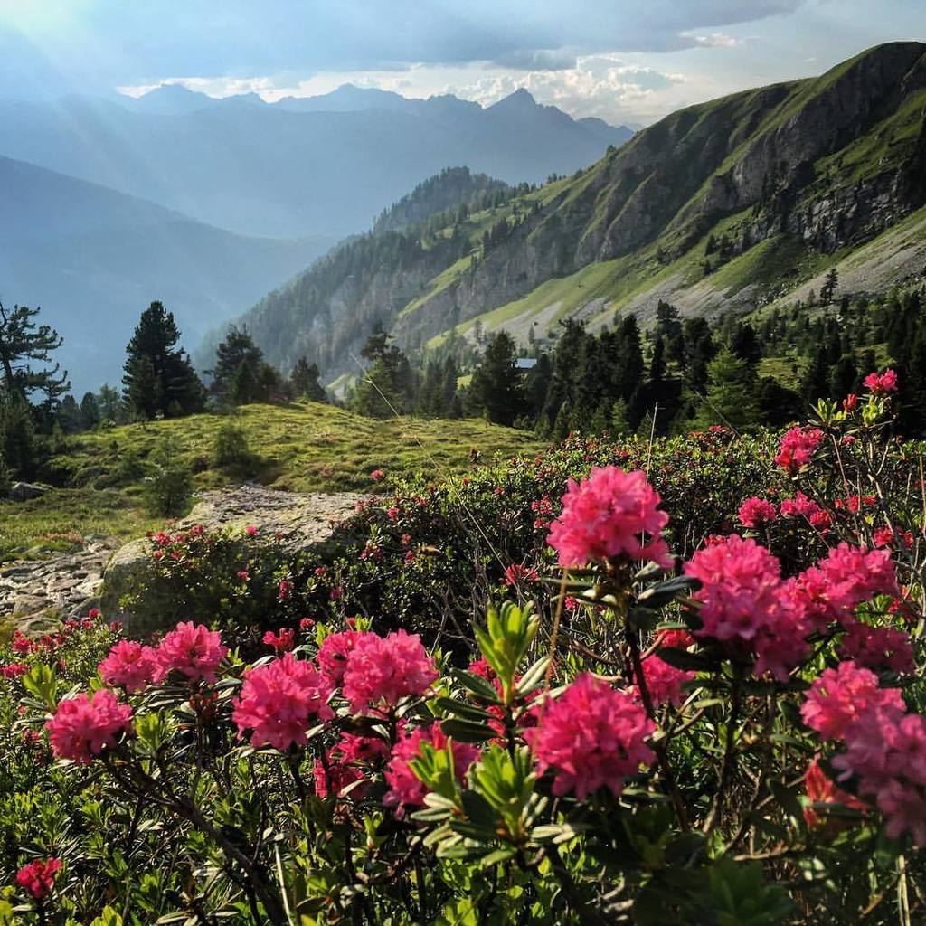 Alpines Schlaraffenland! Im wilden Teil von <a href="/Wipptal/">doc delueks</a> -—

—

#365austria #visitaustria #mountainworld #filmmaking #l…