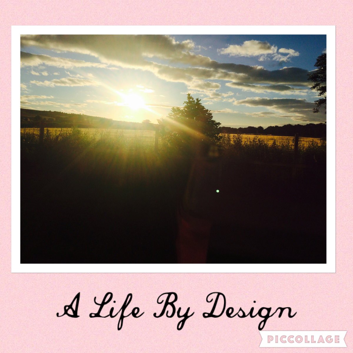 ErinL1985's tweet photo. Beautiful view this morning #sunrise #tuesday #gorgeous #grateful #lifestyle #love https://t.co/B7KbHBB6iM