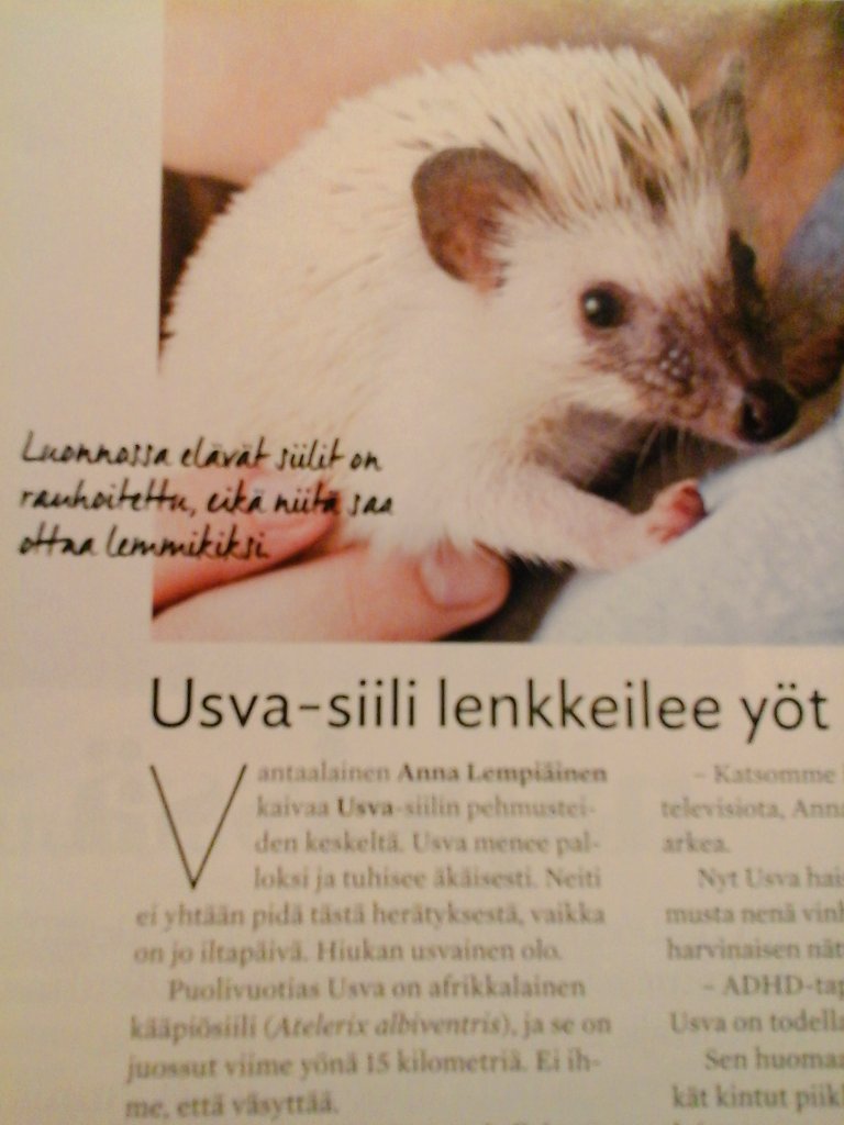 virtuaalinen anaali seksiä