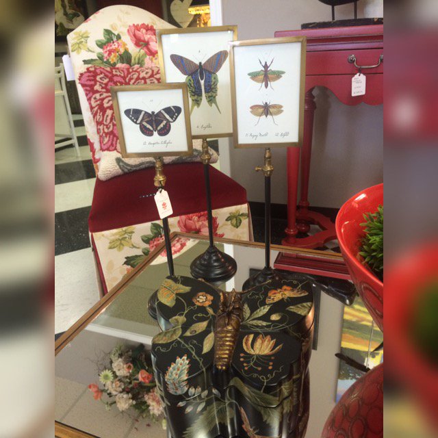 cdinteriors's tweet photo. We know that there are #insect #lovers out there! Check out our showroom for some #eclectic finds! #interiordesign https://t.co/QpHVcfTiiG
