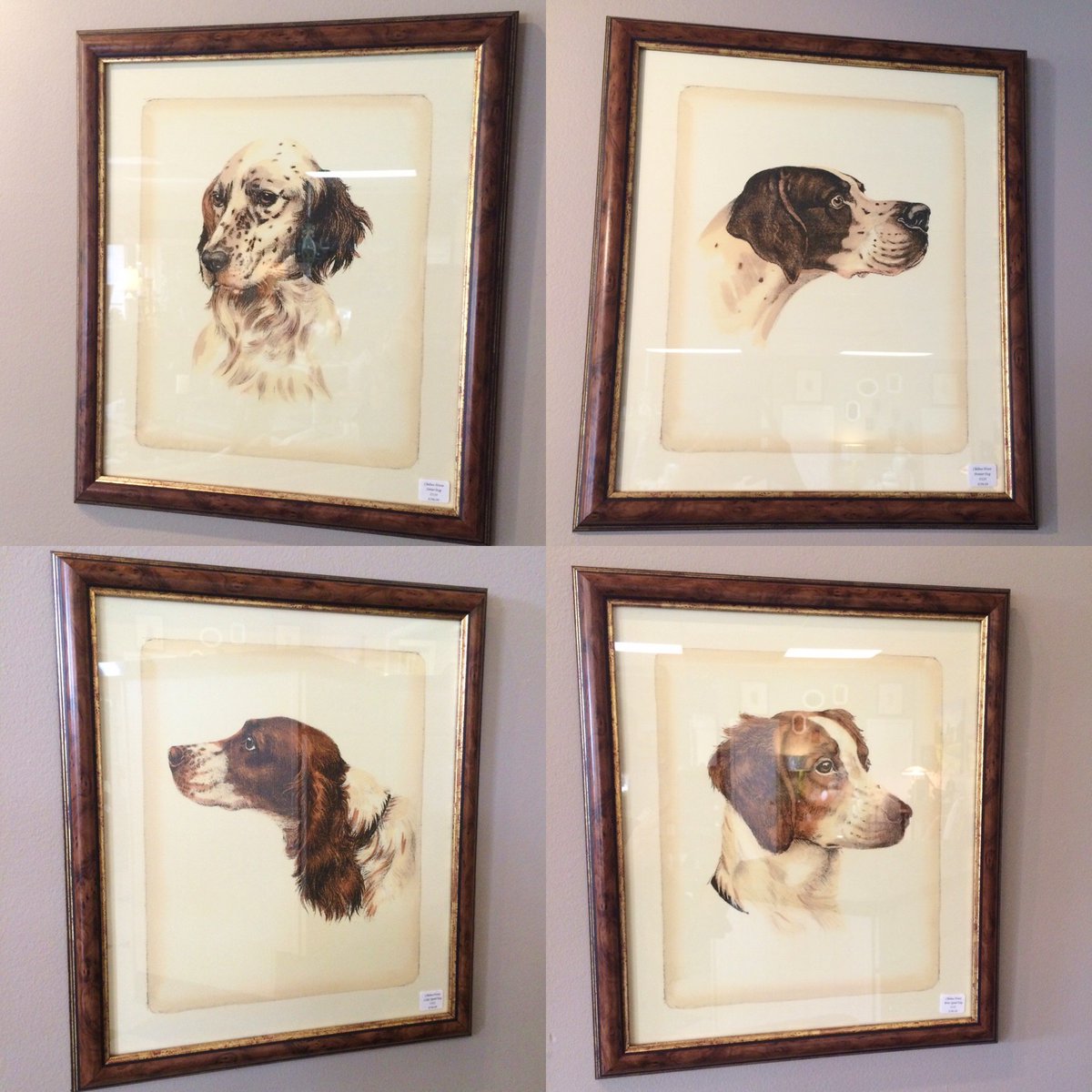 cdinteriors's tweet photo. These #dog #prints add #playful #sophistication to any room w/a #quality that only @ChelseaHouseInc can deliver. https://t.co/jn0A8qYKsG