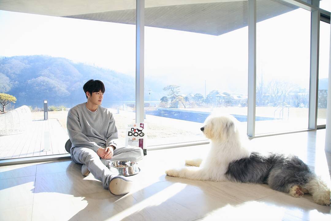 Korseries's tweet photo. คิมอูบิน - เจ้าโปโรโร่ ระหว่างถ่ายทำละคร #UncontrollablyFond #หยุดหัวใจไว้ลุ้นรัก ช่อง KBS และ ช่อง 8 น่ารักมากกก😍 https://t.co/bnJSzgzDX7