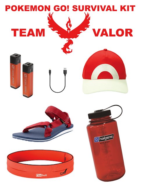 TeamValorOregon's tweet photo. The essentials #TeamValor @PGOTeamValor https://t.co/WsDAXYx4l8