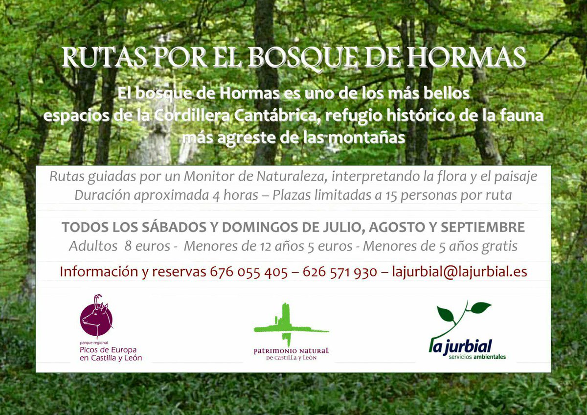 patrimonionat's tweet photo. Te apetece disfrutar de la Naturaleza? Vente este fin de semana a recorrer el Bosque de Hormas #Leonsesp https://t.co/m9M8kKHW58