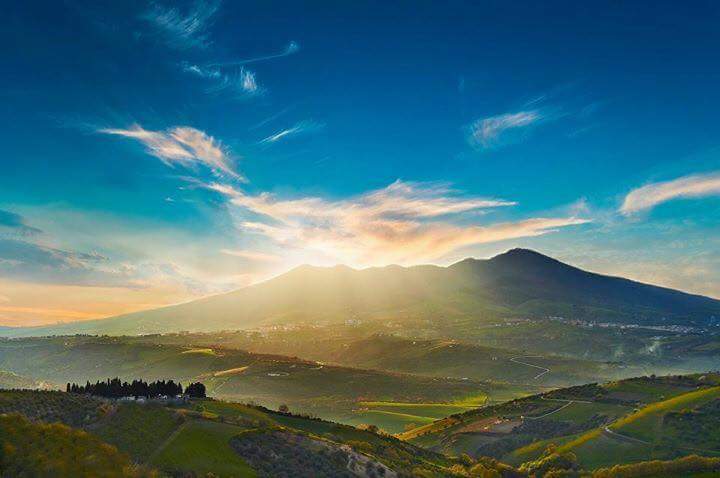 prolocobarile's tweet image. Il Distretto Turistico #TerreDiAristeo incontra le #ProLoco giovedì 14 luglio 2016 ore 18 presso sede #ProLocoBarile