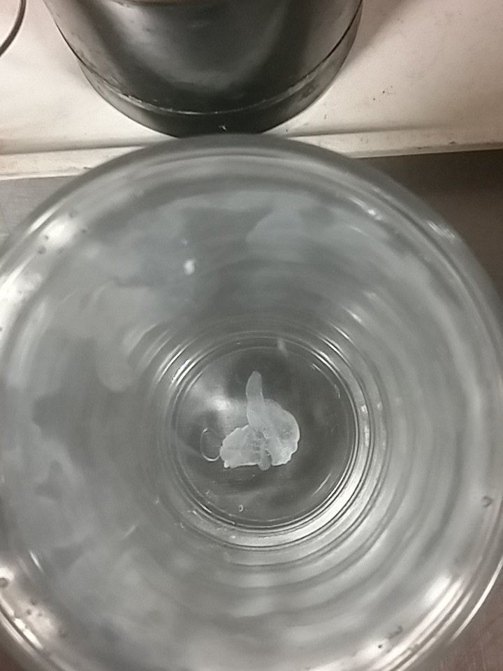 queenpins1's tweet photo. When you do egg divination at work and all it gives you is the D. #sisterwives #thedarkarts https://t.co/diTSLcLwQt